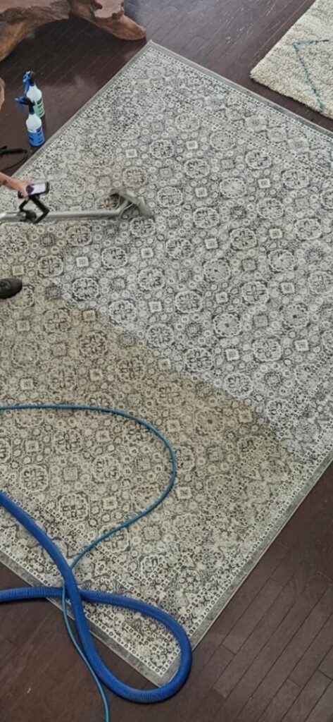 A professional area rug cleaning service in progress by On The Spot Carpet Cleaning in Erie, PA.