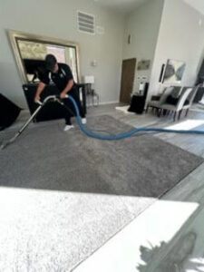 A technician cleaning a large area rug in a living room by Precise Carpet Care in Albuquerque, NM.