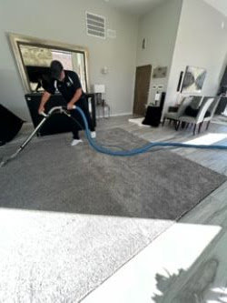 A technician cleaning a large area rug in a living room by Precise Carpet Care in Albuquerque, NM.