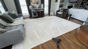 A large area rug being professionally cleaned in a living room by Pronto And Carpet LLC in Charlotte, NC.
