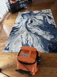 An area rug being professionally cleaned on a hardwood floor, demonstrating rug cleaning services by Ype Cleaning LLC in Monroe, NC.