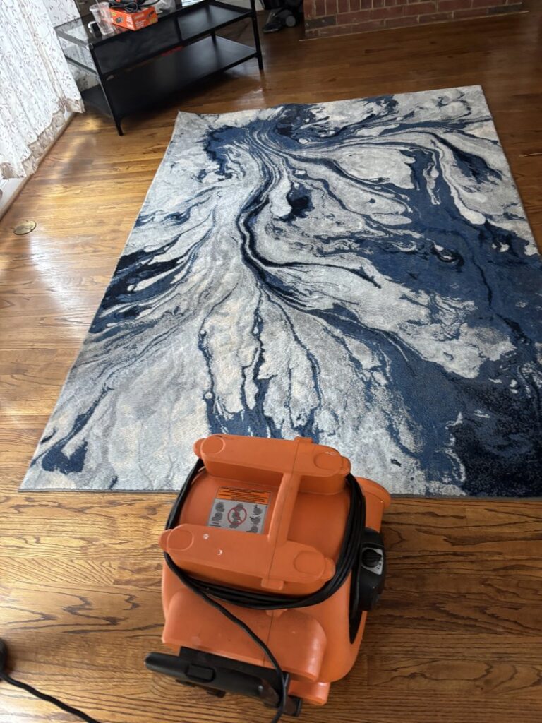An area rug being professionally cleaned on a hardwood floor, demonstrating rug cleaning services by Ype Cleaning LLC in Monroe, NC.