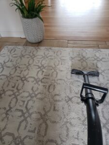 A professional carpet cleaning tool being used on an area rug by All American Carpet & Tile in San Diego, CA