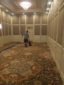 Area rug with distinct cleaning lines after professional service by American Pure Clean, LLC in Charleston, SC