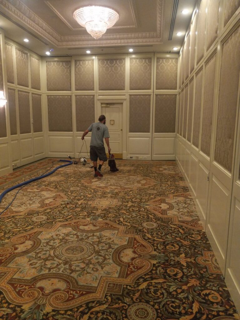 Area rug with distinct cleaning lines after professional service by American Pure Clean, LLC in Charleston, SC