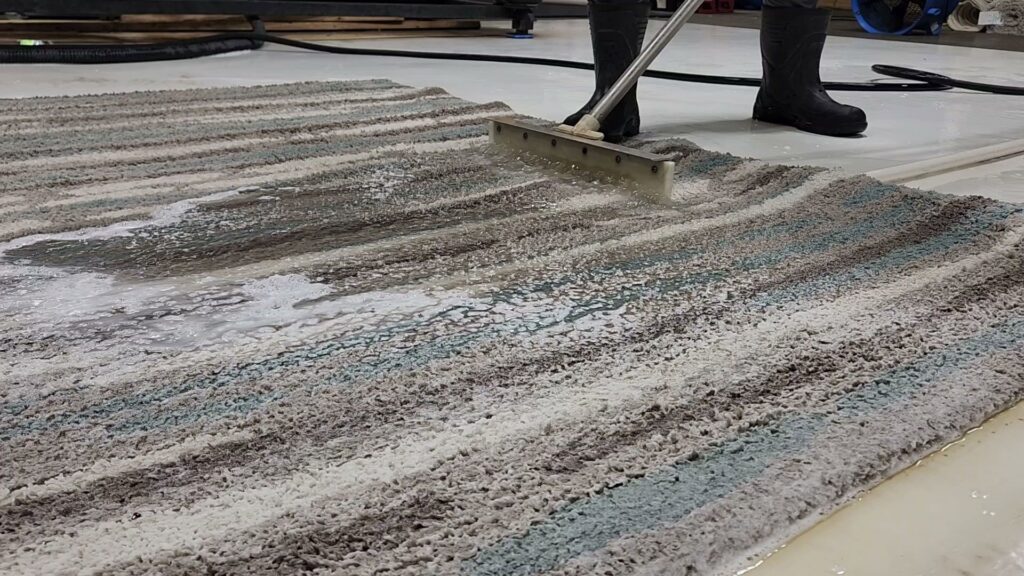 A professional using a squeegee tool to clean a shaggy area rug, demonstrating rug cleaning services by All Seasons Carpet Cleaning in Loves Park, IL.