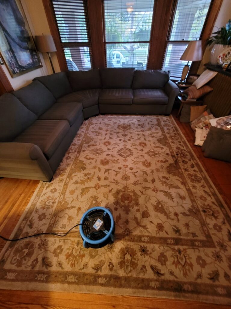 An area rug drying with a fan after professional cleaning by Hartford's Carpet Cleaning in Toledo, OH