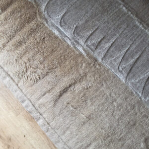 An area rug showing a clear before and after cleaning contrast by My Carpet Cleaner Nashville, TN