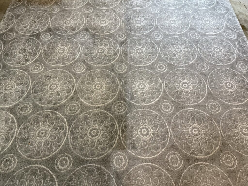An area rug with a patterned design, showing a clear distinction between the cleaned and uncleaned sections by Heroic Carpet Cleaning Oregon in Beaverton, OR