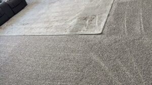 An area rug partially lifted to reveal cleaning lines on the carpet underneath, done by Floor Medics in Huntsville, AL