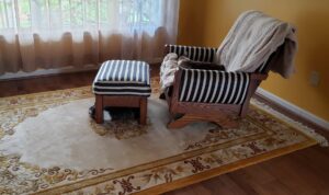 An elegant area rug placed in a living room setting, showcasing the types of rugs cleaned by Carpet & Rug Cleaning in Mount Pleasant, SC.