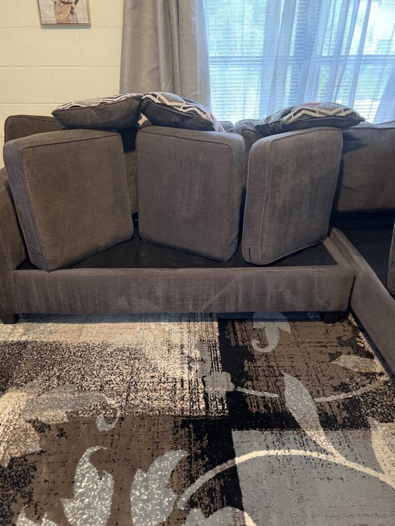 An area rug visible under a sofa with cushions removed, ready for cleaning by Seminole Carpet Cleaning in Tallahassee, FL