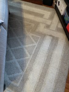 An area rug showing distinct cleaning lines after service by Legendary Carpet Care+ in Toledo, OH.