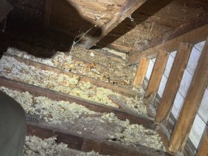 Attic space showing debris and nesting material, indicating a wildlife infestation addressed by Elite Wildlife Removal and Prevention in Nashville, TN.