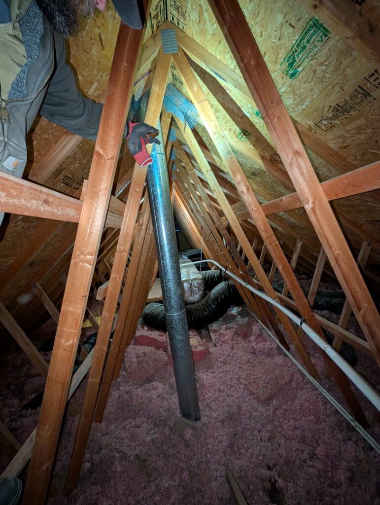 A technician performing an attic inspection for pest and wildlife activity for Elevated Pest Control LLC in Berthoud, CO.