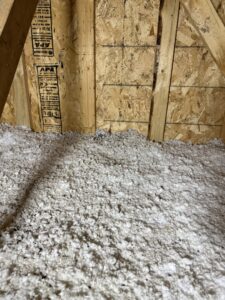 Attic insulation with evidence of bat guano, indicating a wildlife control job by Prairie Bat Services, LLC in Sioux Falls, SD.