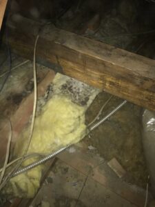 Attic space showing potential pest damage or droppings on insulation and wood beams by Intensive Pest Control in Long Beach, CA.