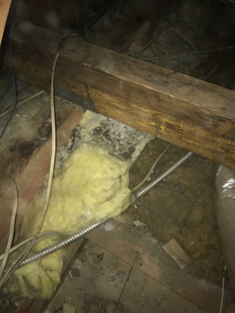Attic space showing potential pest damage or droppings on insulation and wood beams by Intensive Pest Control in Long Beach, CA.