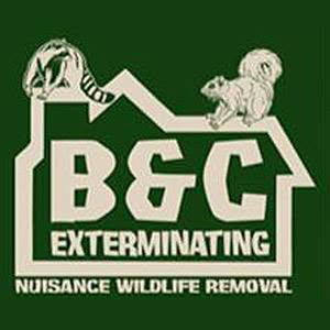B & C Exterminating