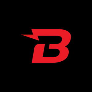 Babcon Electric Inc.