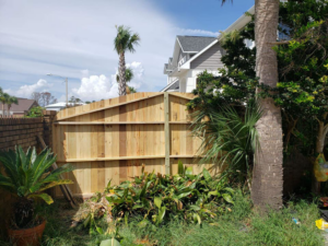 A back view of a newly constructed wood privacy fence by Melanie K. Lynch in Crawfordville, FL