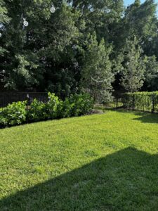 A well-maintained backyard featuring a black aluminum fence corner, installed by Inovation Fence in Fort Worth, TX.