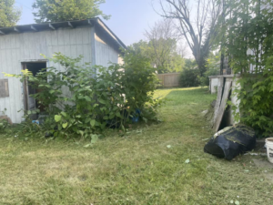 A backyard after lawn care and landscaping, showing mowed grass and a debris bag, by Elliott's Lawn Care & Landscaping in Lexington, KY.