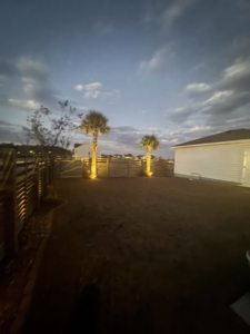 A wide view of a backyard showcasing professional landscape lighting installation by Watts Up Electric LLC in Summerville, SC.