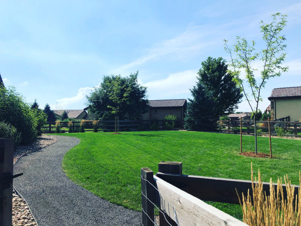 A beautifully landscaped backyard featuring a green lawn, gravel path, and newly planted trees by Front Range Finest in Fort Collins, CO.