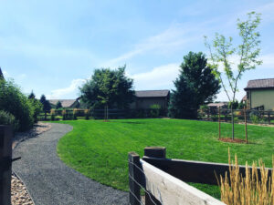 A beautifully landscaped backyard featuring a green lawn, gravel path, and newly planted trees by Front Range Finest in Fort Collins, CO.