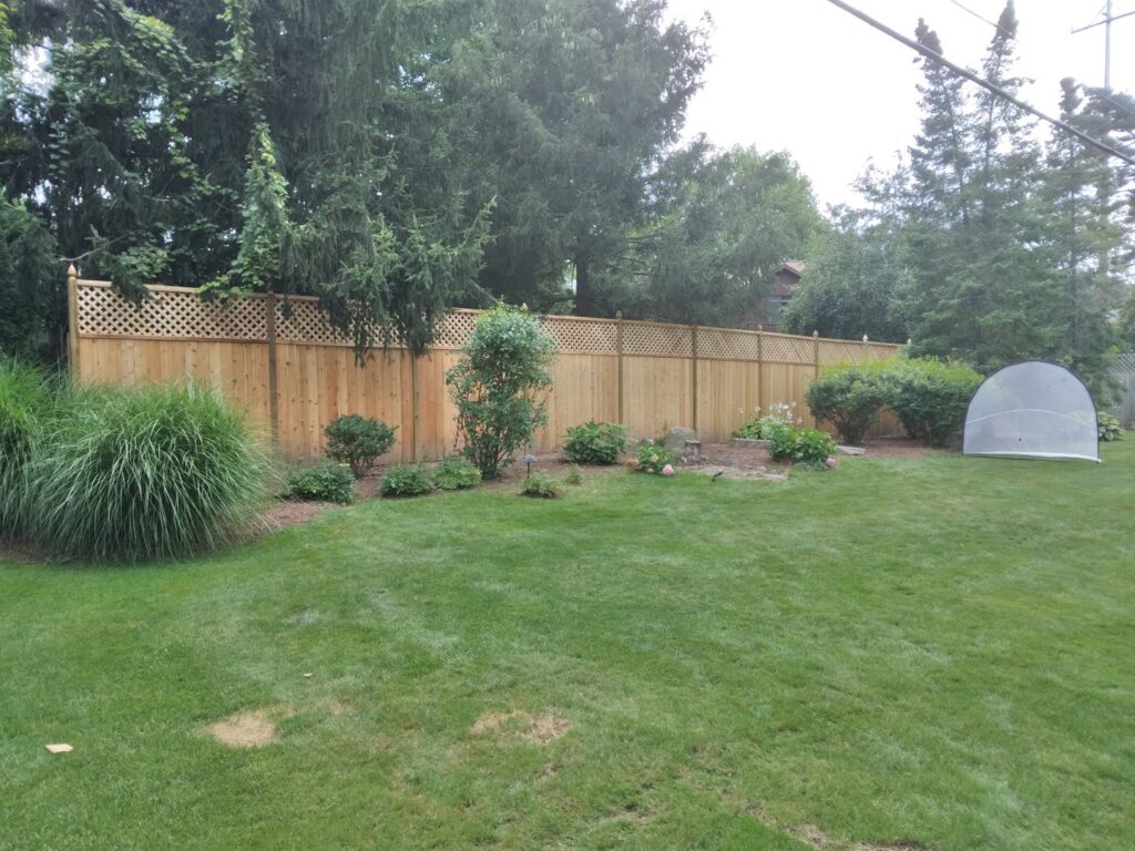 A long wooden fence with a decorative lattice top installed in a spacious backyard by Sparta Fencing in Ely, UK.