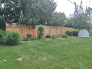 A long wooden fence with a decorative lattice top installed in a spacious backyard by Sparta Fencing in Ely, UK.