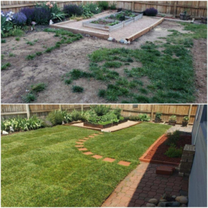 Before and after of a backyard showing improved lawn and landscaping by Aaron's Lawn Service in Pittsburg, KS.