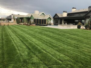 A spacious backyard with a neatly mowed lawn showing distinct stripes, a professional service by Front Range Finest in Fort Collins, CO.