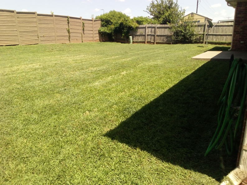 A freshly mowed backyard lawn with clean stripes and a wooden fence by You're Choice Lawn Care LLC in Oklahoma City, OK.