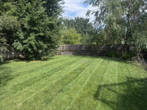 A neatly mowed backyard lawn with distinct stripes, showcasing quality work by Bramble Clean Cut Lawn Care LLC in Independence, MO.