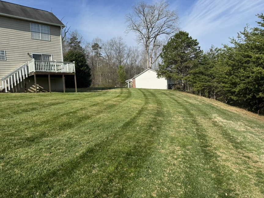 A well-maintained backyard lawn with fresh mowing stripes, cared for by Hancock Lawn Care in Knoxville, TN.