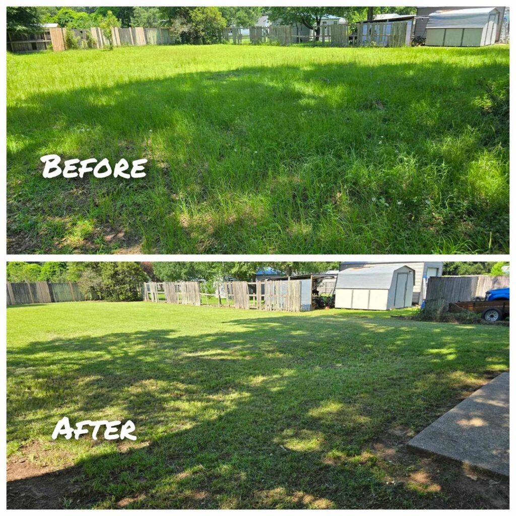 Before and after photos of a backyard lawn restoration service, demonstrating the work of Southern Rooted Lawns in Mobile, AL.