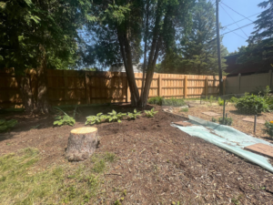 A backyard view featuring a newly installed wood privacy fence in the background by Northern Fence, Inc. in Appleton, WI.