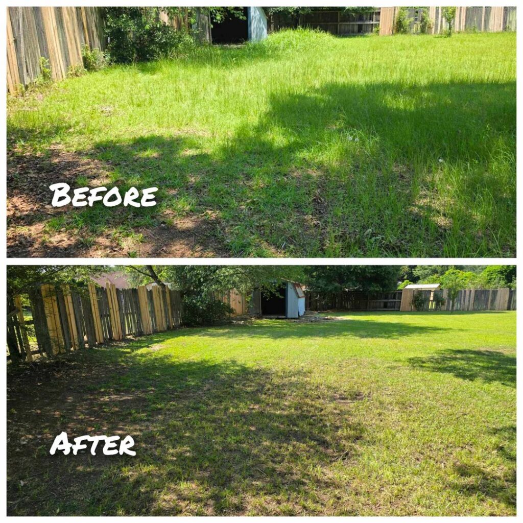 Before and after photos of an overgrown backyard transformed with cleanup and mowing by Southern Rooted Lawns in Mobile, AL.