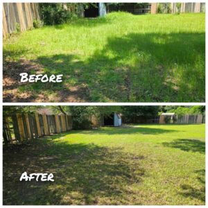 Before and after photos of an overgrown backyard transformed with cleanup and mowing by Southern Rooted Lawns in Mobile, AL.