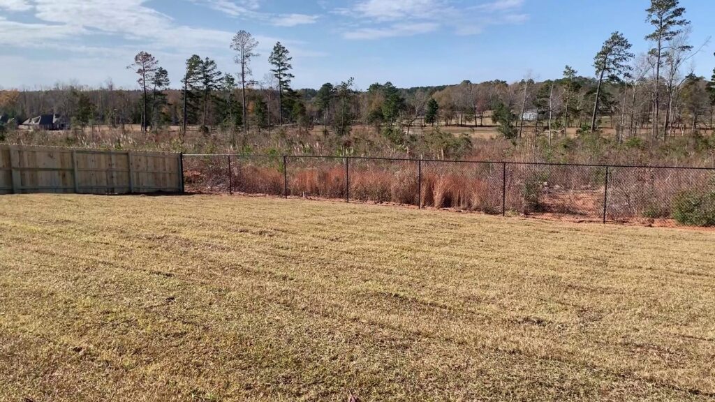 A backyard featuring both wood privacy fencing and black chain link fencing installed by Precision Fence in Meridian, MS.