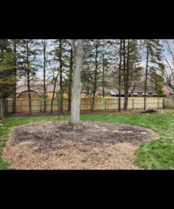 A long wooden fence defining a backyard property line by Barney's Landscaping in Dayton, OH.