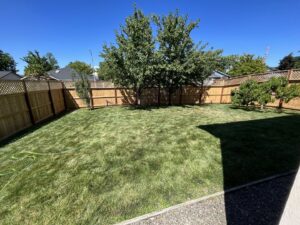 A complete backyard wood fence enclosure with lattice top installed by Prestige Fencing LLC in Medford, OR.