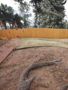 A newly installed wood fence in a residential backyard, providing privacy and security from Good Neighbor Fencing, LLC in Colorado Springs, CO.