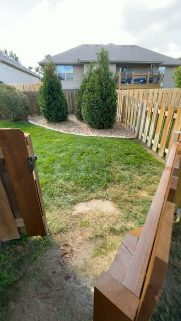 A view of a residential backyard featuring a newly installed wood fence and an open gate by Axiom Fence LLC in Springfield, MO.
