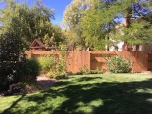 A well-maintained wood privacy fence in a residential backyard, installed by Accent Fence & Design in Lakewood, CO.