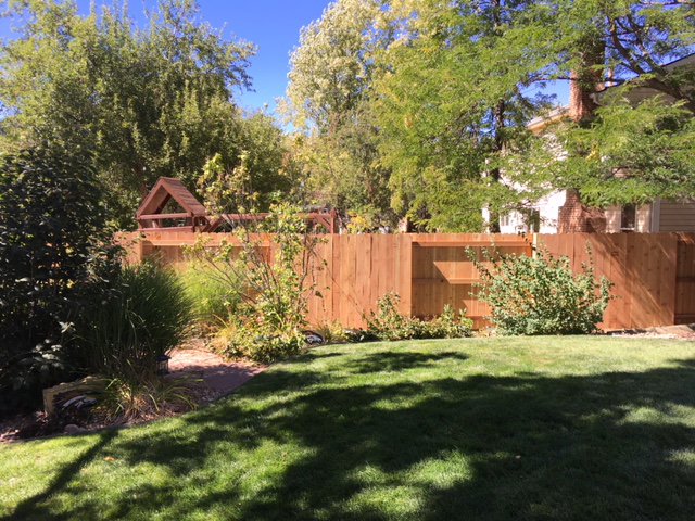 A well-maintained wood privacy fence in a residential backyard, installed by Accent Fence & Design in Lakewood, CO.