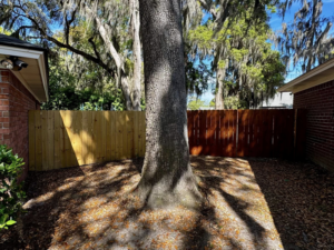 A backyard with a wooden privacy fence installed around a large tree by Barwick Fence Company in Savannah, GA.