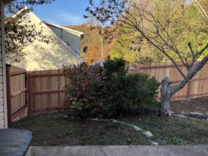 A newly installed wood privacy fence with a gate in a backyard by Sexton Property Services STL in High Ridge, MO.